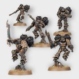 Rapaces: Chaos Space Marines